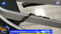 python - thailande-fr