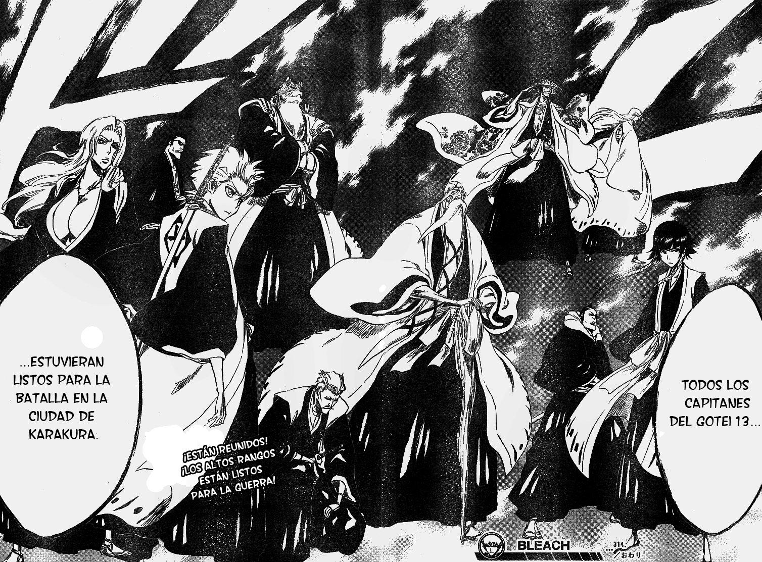 Bleach Manga (Tomos 17 al 22 y Caps del 303 al 342) R2D2