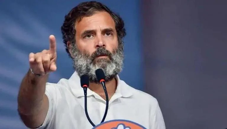 Rahul Gandhi says CWC unanimously supports idea of nationwide caste census