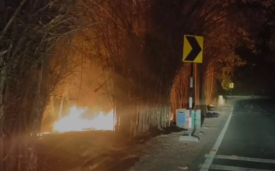 In the middle of the night, Nalmala forest can be burnt.. Appreciation for the actions of the forest department!