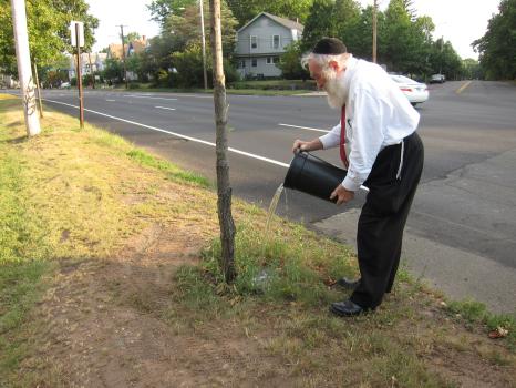 Rabbi Daniel Greer