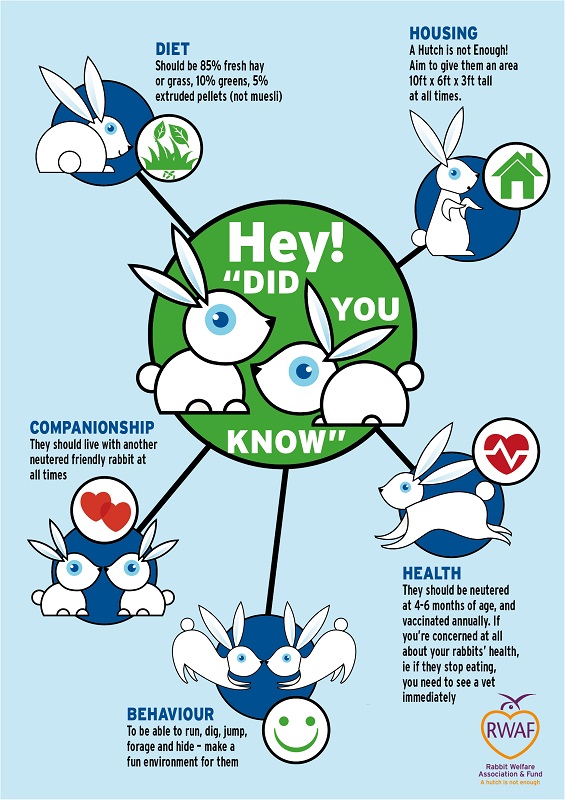 Five Welfare Needs Rabbit Welfare Association & Fund (RWAF)