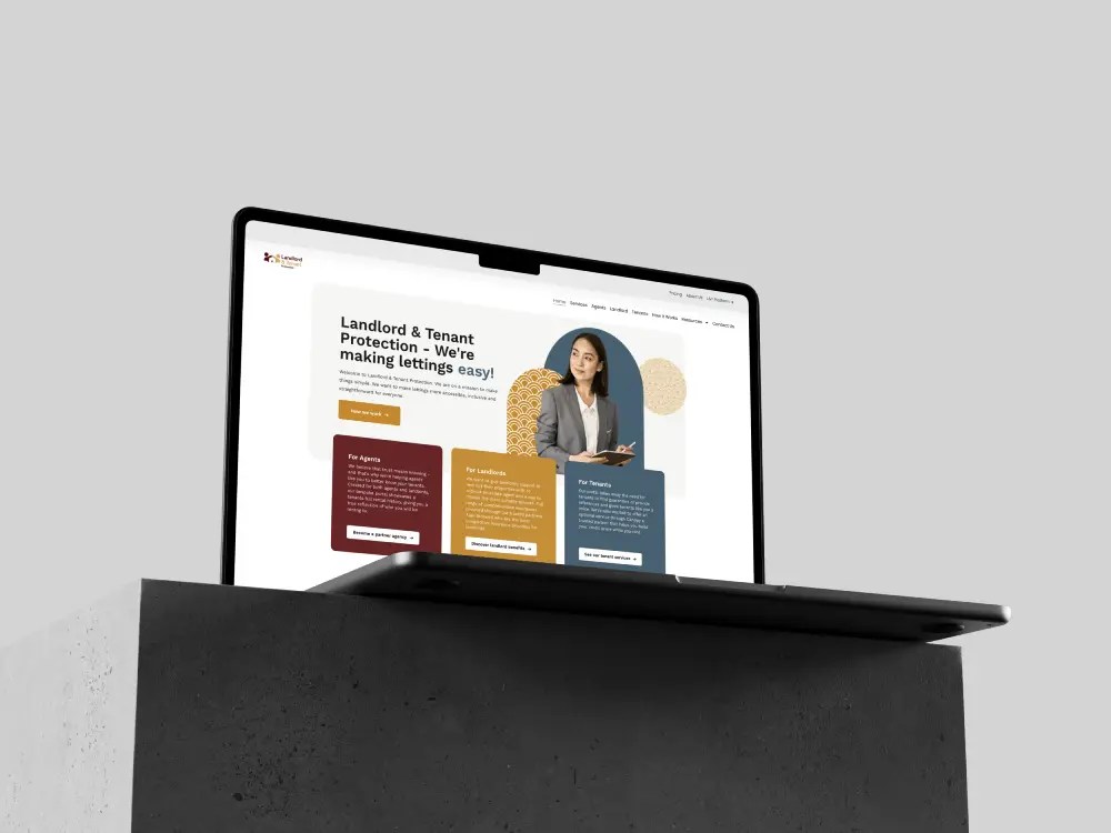 Raccoon Web — brand and project image 21