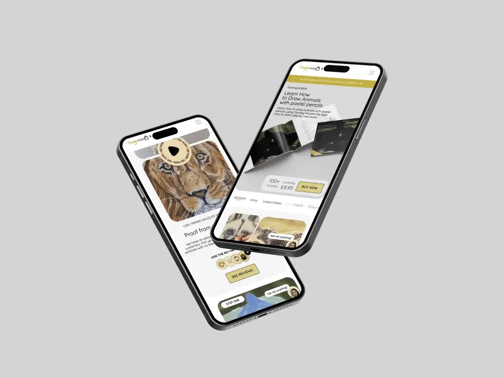 Raccoon Web — brand and project image 16