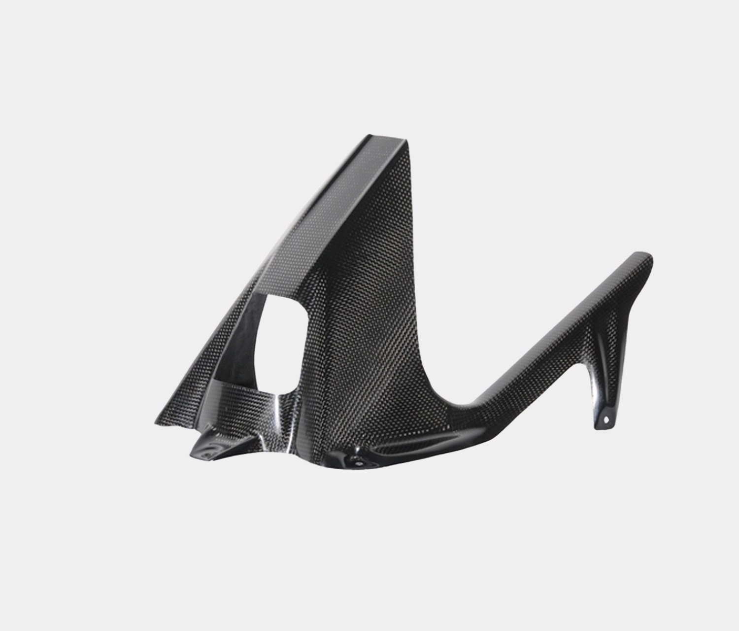 LIGHTECH Rear Mudguard Glossy Carbon Ducati Panigale