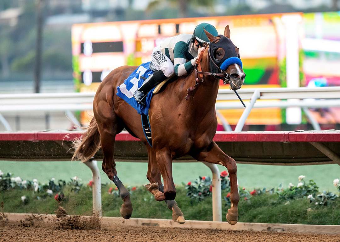 Welcome to your source for everything about creating delicious latin dishes and entertaining friends and family at home. Mucho Gusto 2022 Kentucky Derby Oaks May 6 And May 7 2022