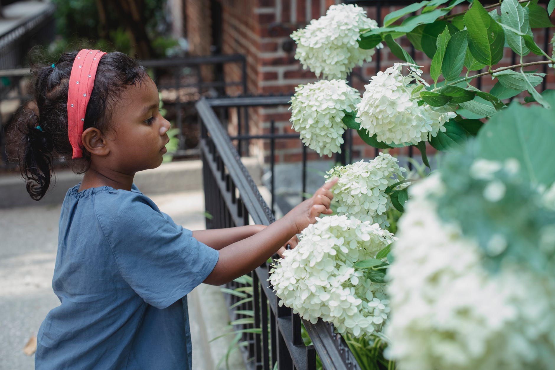 Photo by Kamaji Ogino on <a href="https://www.pexels.com/photo/curious-little-girl-touching-blooming-flowers-on-street-5094409/" rel="nofollow">Pexels.com</a>