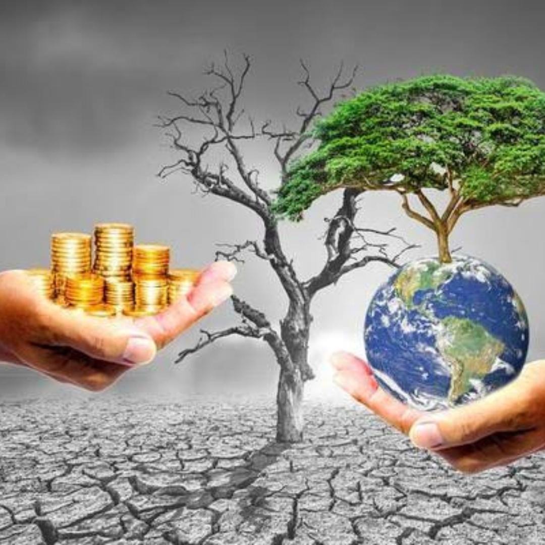 The impact of Capitalism on the Environment: looking at the cause and effects – Nidhi Prakash