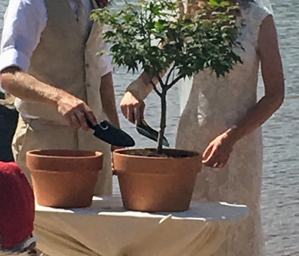 Unity Ceremony