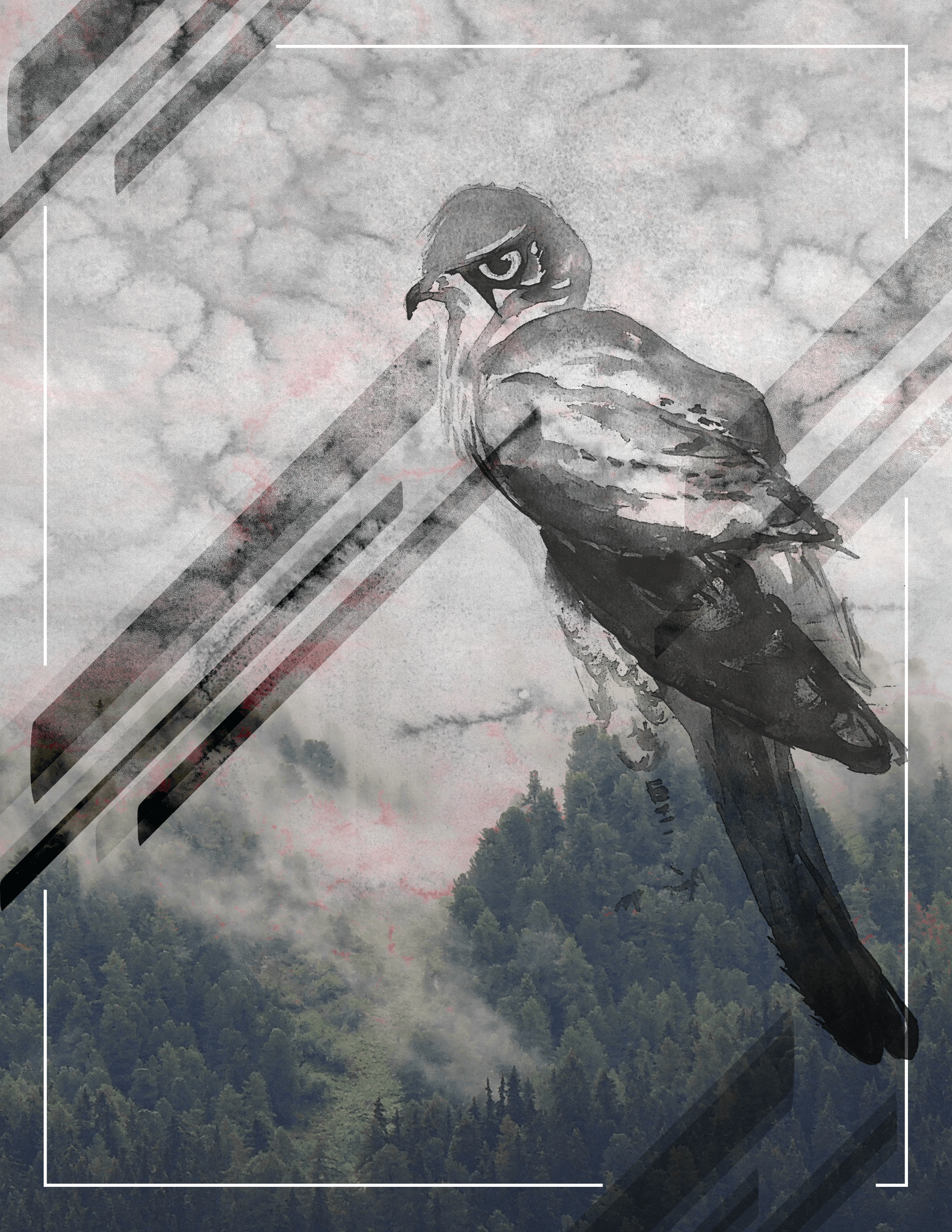 Illustration created in Photoshop with hand-drawn textures and illustrations layered with photographs and vector graphics.