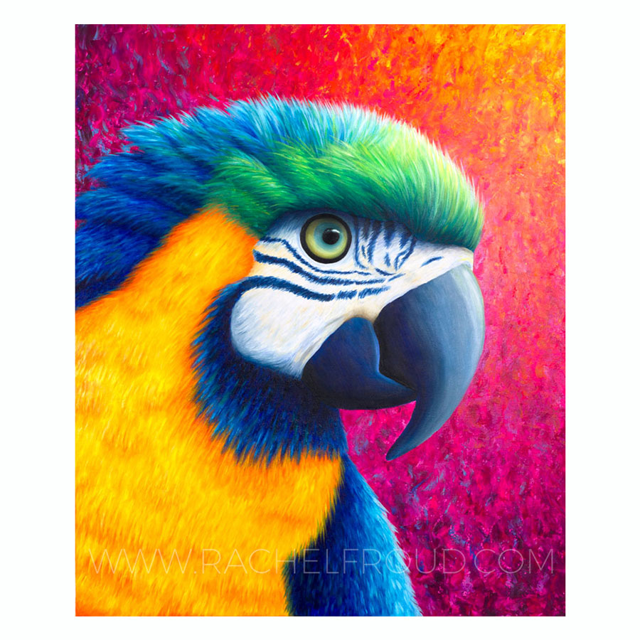 Paradise Print Parrot Rachel Froud