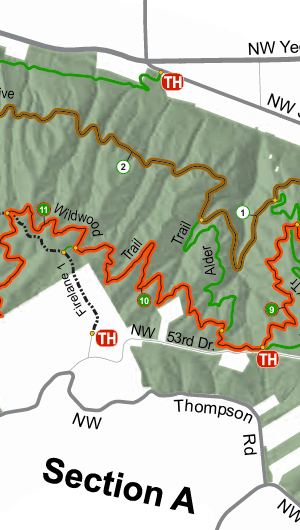 Wildwood Hike From NW 53rd Trailhead Rachel P Creations Image 