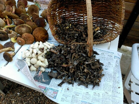 Dame Nature : un jour sur Terre.