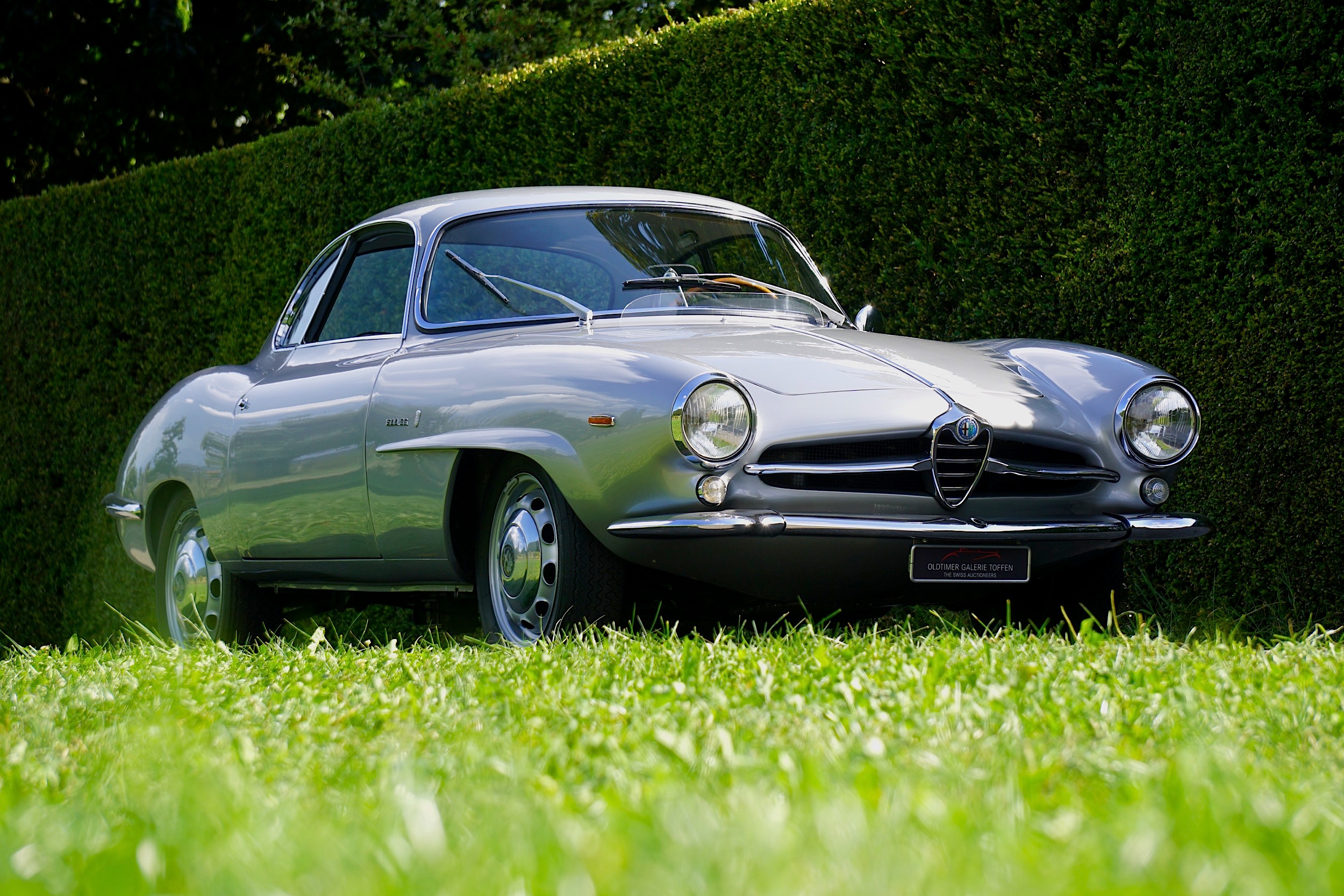 Alfa romeo giulia ss