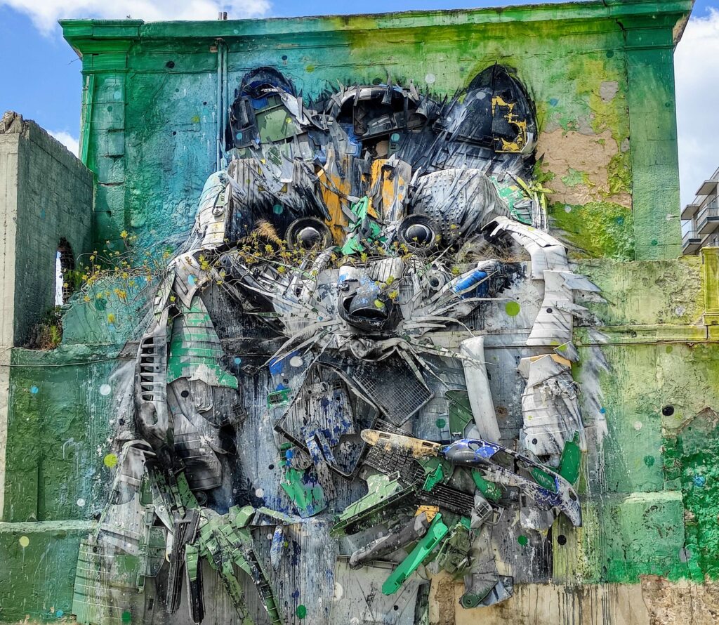 Grande scultura urbana in bassorilievo raffigurante la testa e il corpo di un procione, realizzata interamente riciclando rottami di plastica, paraurti di automobili e rifiuti industriali. L'opera è installata sulla facciata di un edificio abbandonato e scrostato, dipinto con tonalità di verde e giallo.