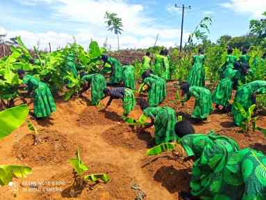 WhatsApp Image 2025-03-29 at 15.40.06 WhatsApp Image 2025-03-29 at 15.40.06