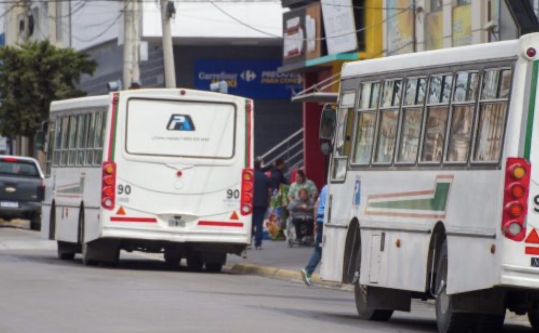 El Municipio podría declarar desierta la licitación del transporte público