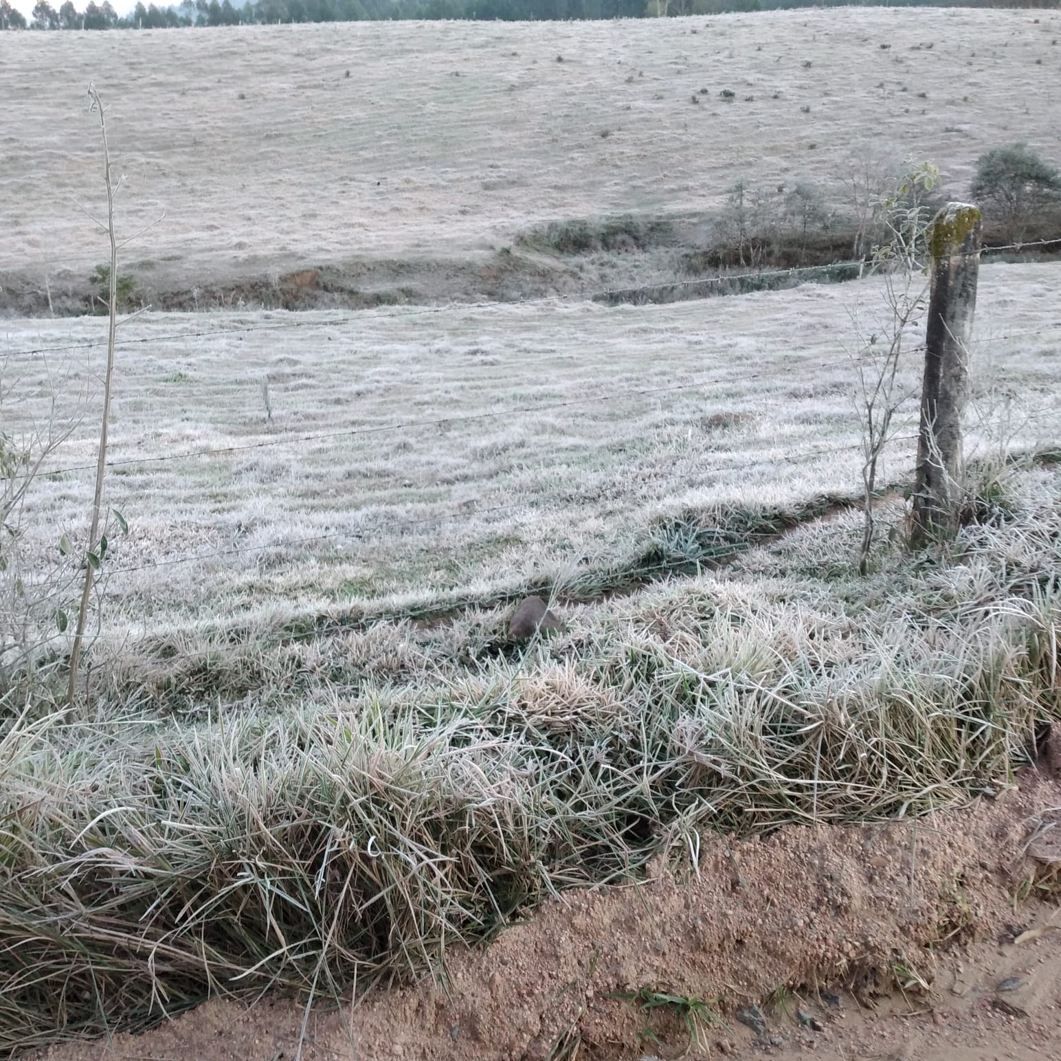 Rio Capivaras do Meio