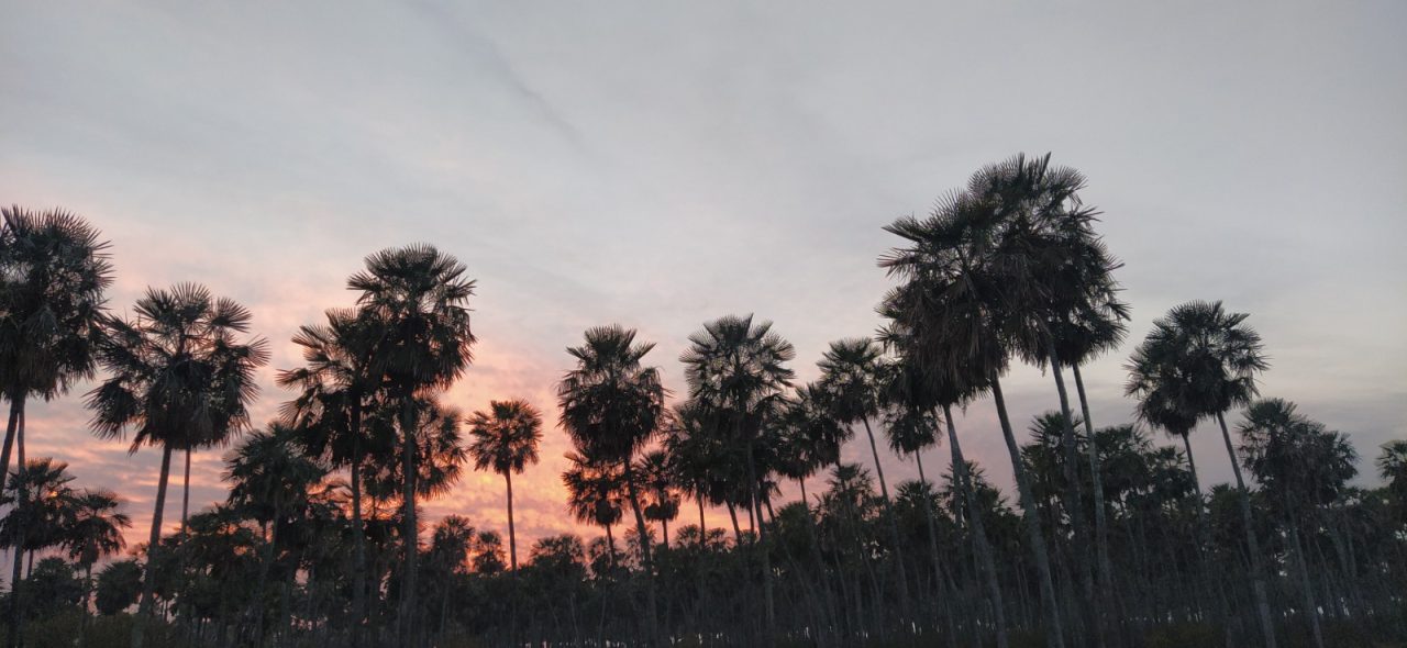 Se celebrará un Festival por el Parque Nacional Laguna El Palmar