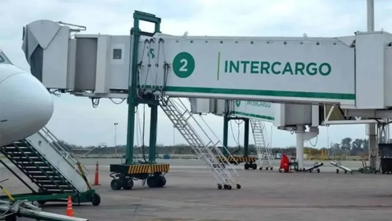 IATA y Jurca respaldaron la desregulación del servicio de rampas