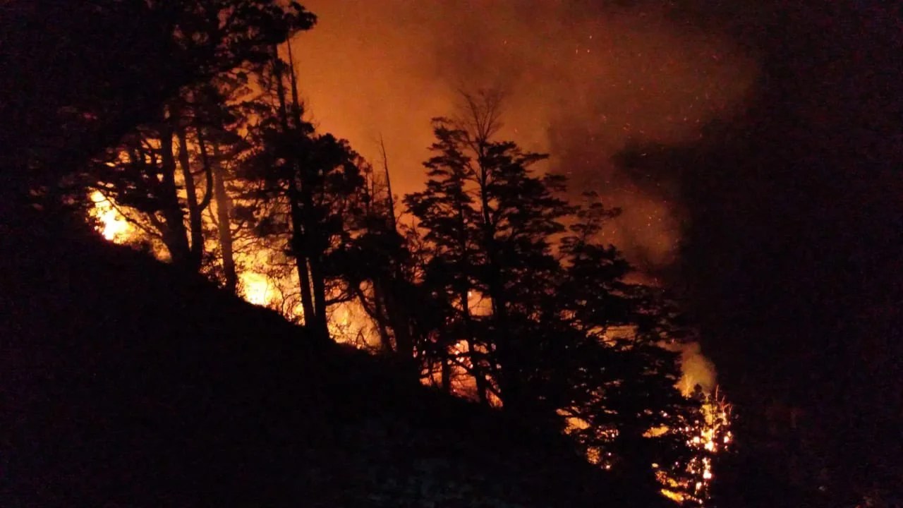 Incendio en Los Alerces: operativo de emergencia para proteger viviendas y servicios turísticos