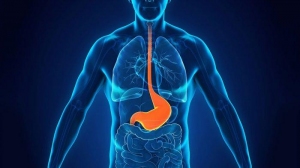 Peningkatan kemampuan penguasaan kosakata bahasa inggris menggunakan metode board races games pada peserta didik kelas vii smpn satap 2 tiworo utara … Mengenal Gastroesophageal Reflux Disease Gerd