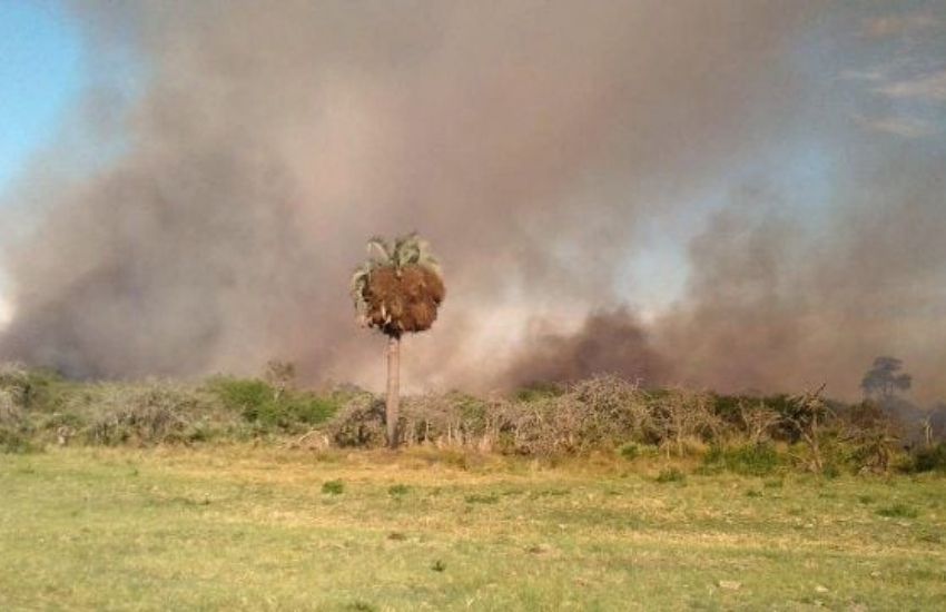 Voraz incendio en un campo de Villaguay devoró 100 hectáreas