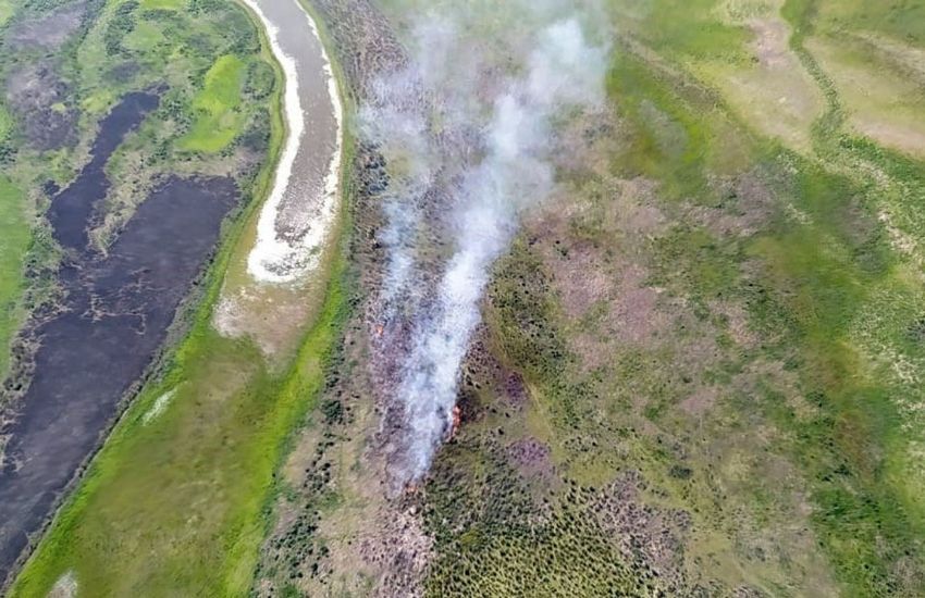 Monitorean la situación ante nuevos focos ígneos detectados en las islas del Delta