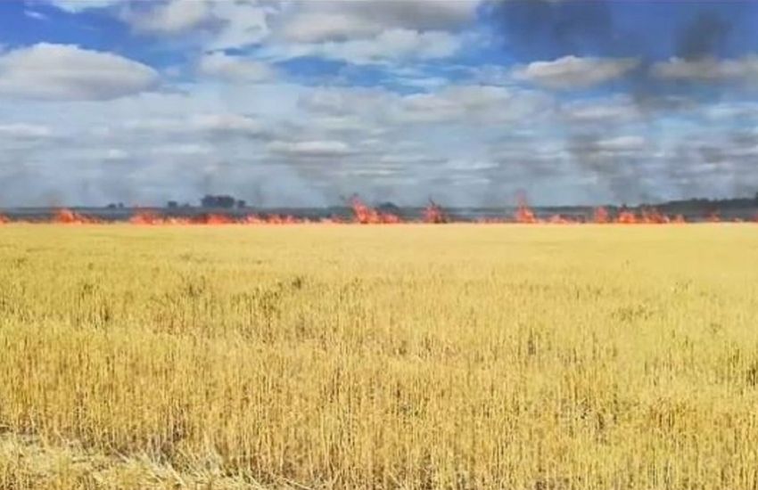 La chispa de una amoladora provocó que se quemen 90 hectáreas de campo en Gualeguaychú