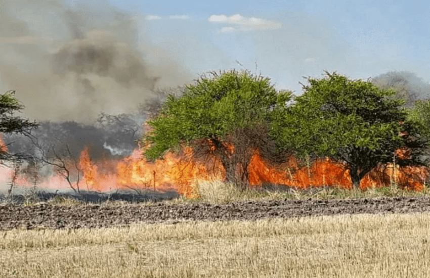 Incendios forestales en Entre Ríos: “Nunca vimos algo así” expresó la secretaria de ambiente