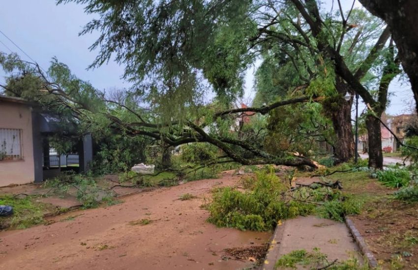 Temporal en Colón: la Municipalidad sugiere que se evite salir a la calle