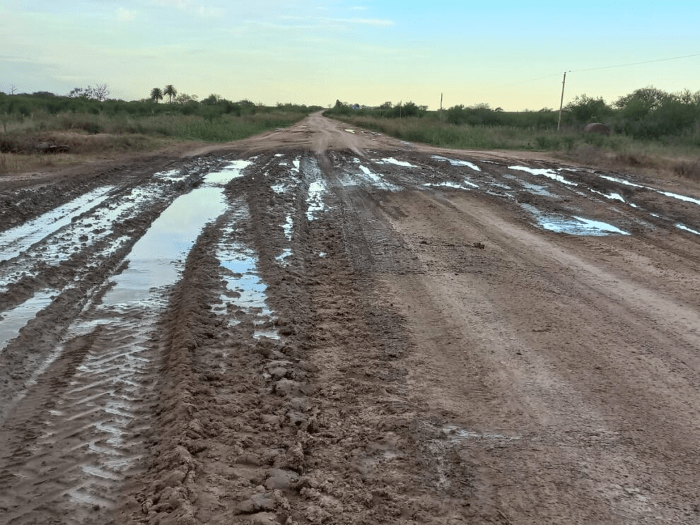 El Presidente de la Filial de Federación Agraria de Viale criticó al Gobierno por el estado del Camino de la Producción