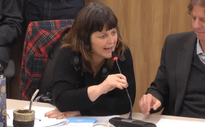 Gaillard llamó “rubia teñida” a otra diputada y el oficialismo pide su sanción