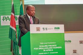 CS Kagwe kwendkithia kigina makiria kuri urimi