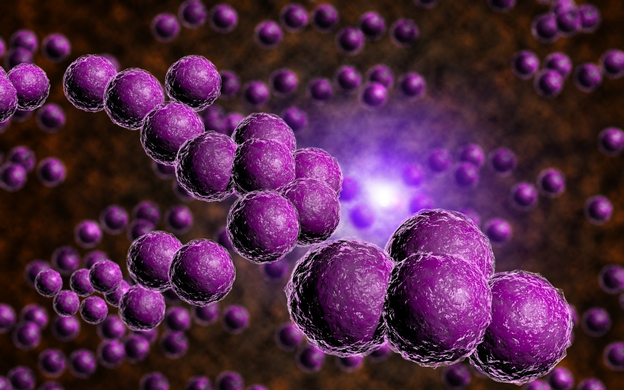 El tratamiento para combatir una infección por estafilococos comprende lo siguiente: INFEZIONE DA STAFILOCOCCO, BOLZANINA RISARCITA - Radio NBC Rete Regione