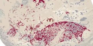 El arte rupestre supera la marca de 50.000 años