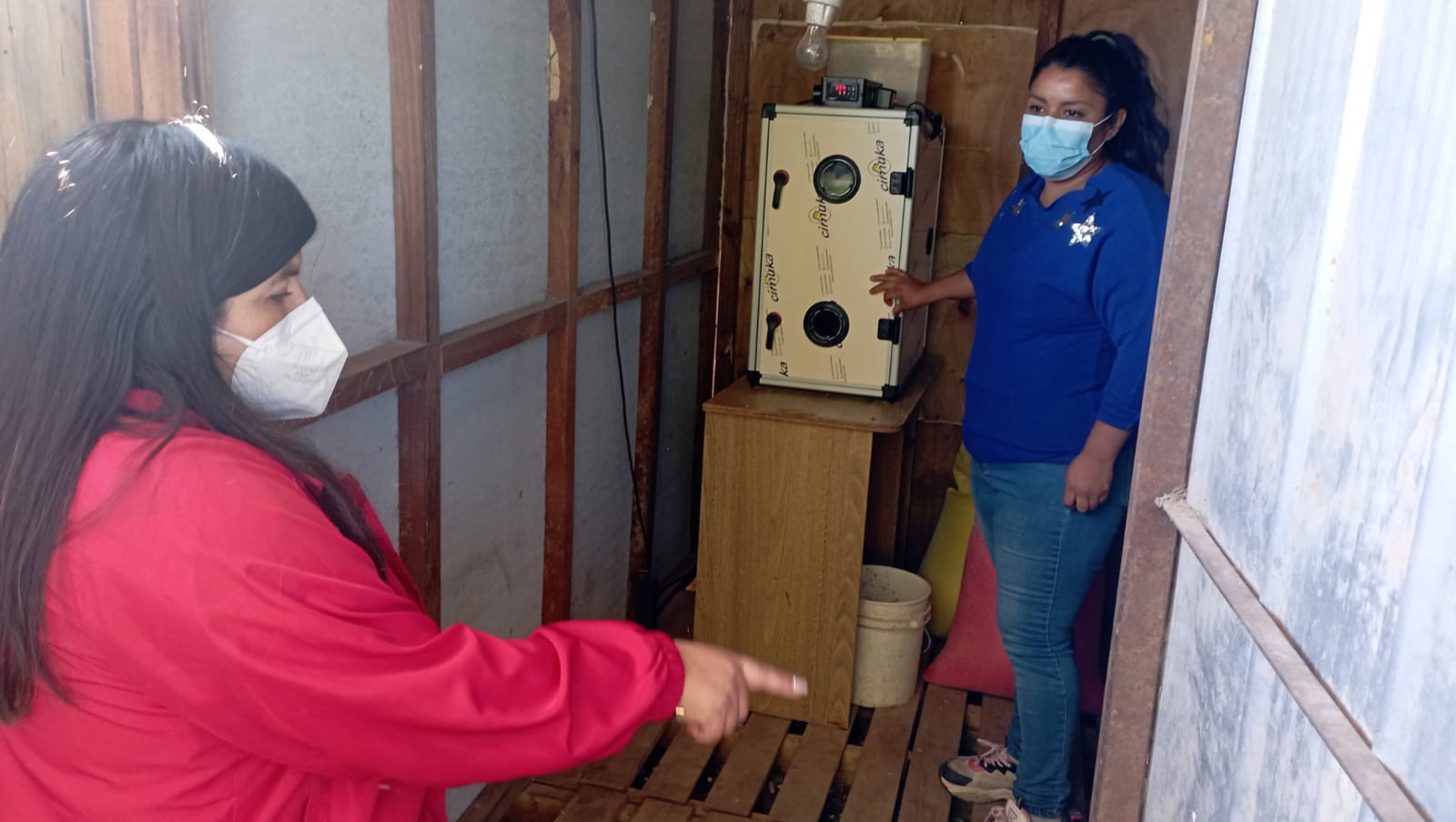 Criadero de aves exóticas: el novedoso emprendimiento de joven ovallina