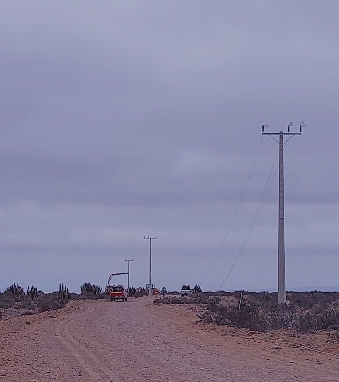 Presentarán querella por millonario robo de cables eléctricos en la Higuera y Freirina