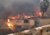 Tragedia en Valparaíso: Incendios forestales arrasan, habrían 10 Personas Fallecidas