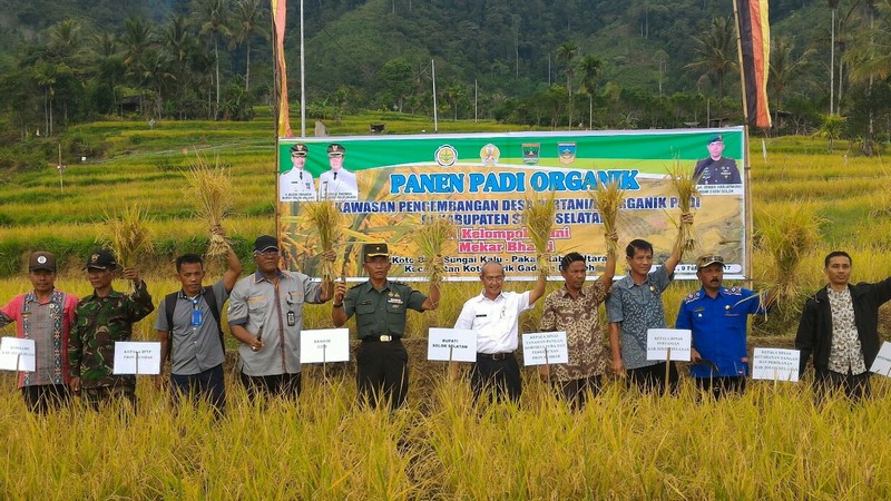 Harga Beras Organik Mencapai Rp. 25.000/kg
