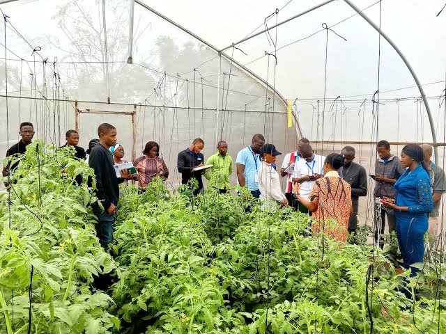AfDB Pivots to Rwanda’s Agriculture With Rwf588 Billion Three-Year Plan