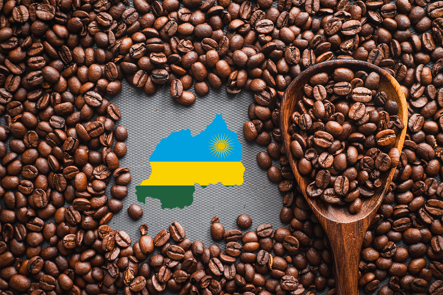 Rwandan Coffee Auction Tops RWF 680m in Four Hours