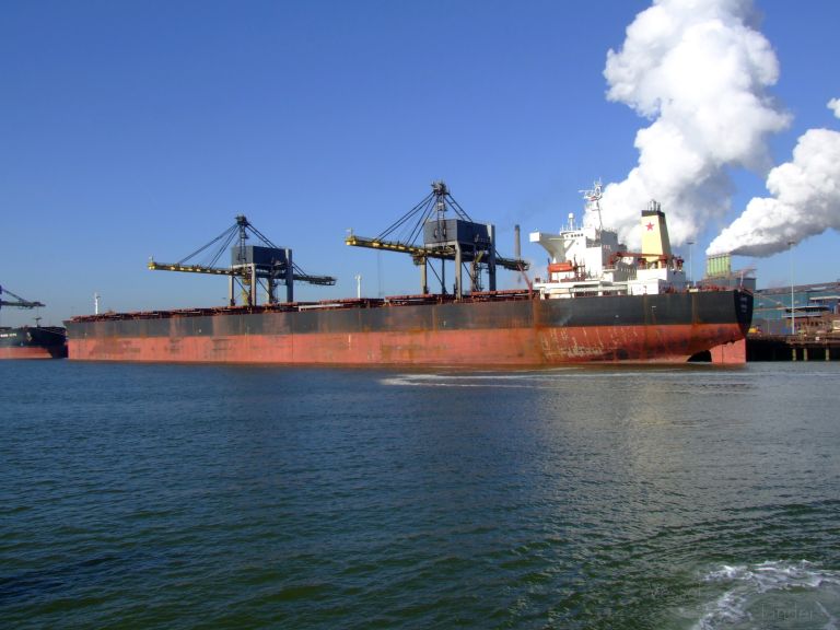 Bulk carrier Gingo
