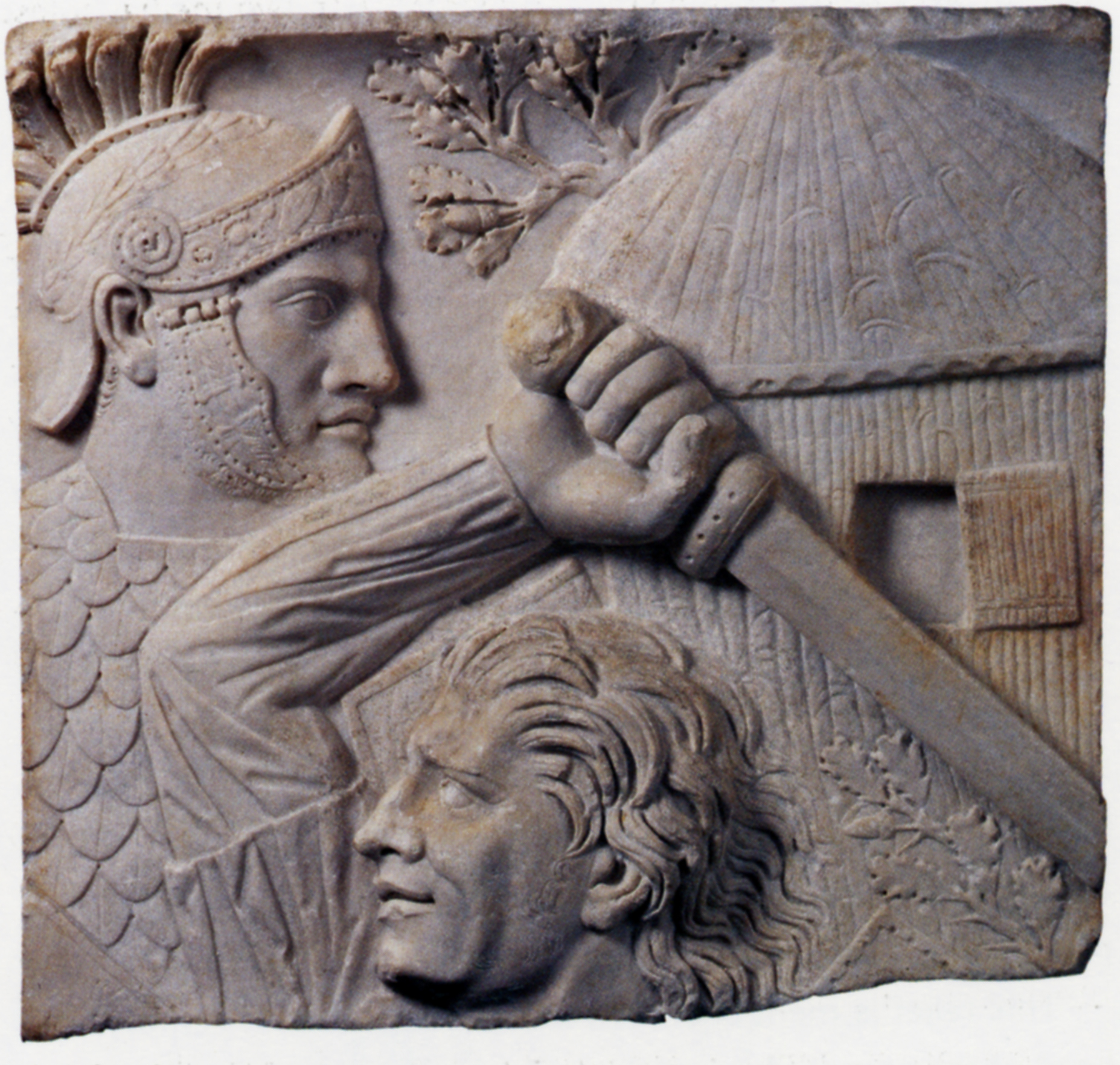 Research | The Brief Wondrous Life Abroad