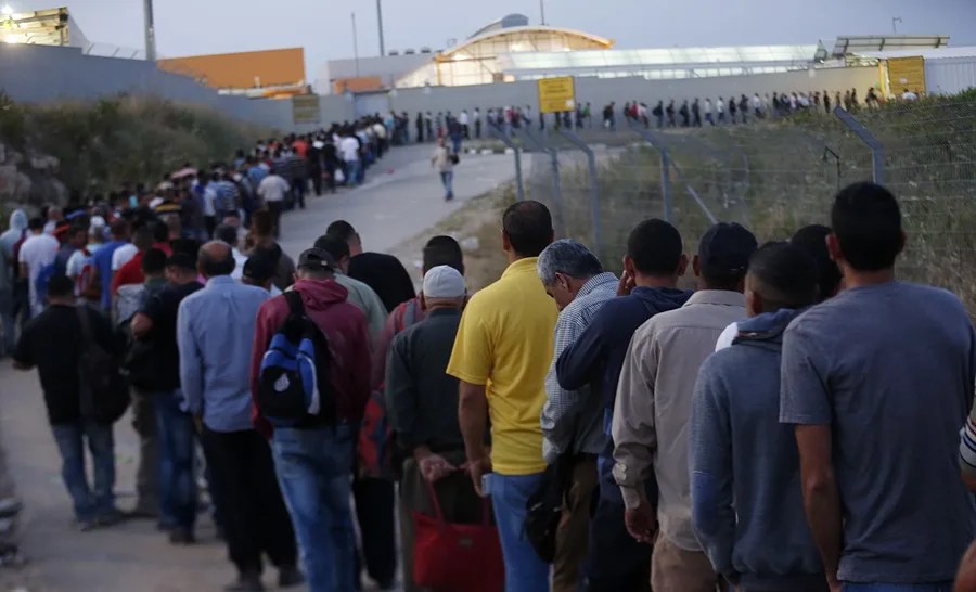 وزيرة العمل: أرقام صادمة للبطالة في فلسطين تقترب من نصف مليون