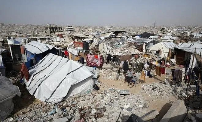 الأمم المتحدة تستعد لتنفيذ خطة شاملة لمكافحة القوارض والحشرات في غزة