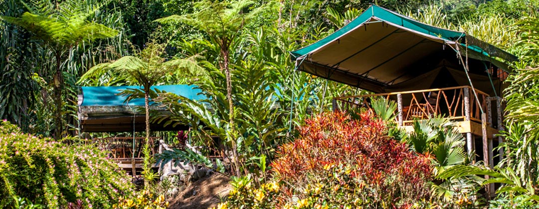 Rafiki Safari Lodge Offers You Luxury Camping And Rain