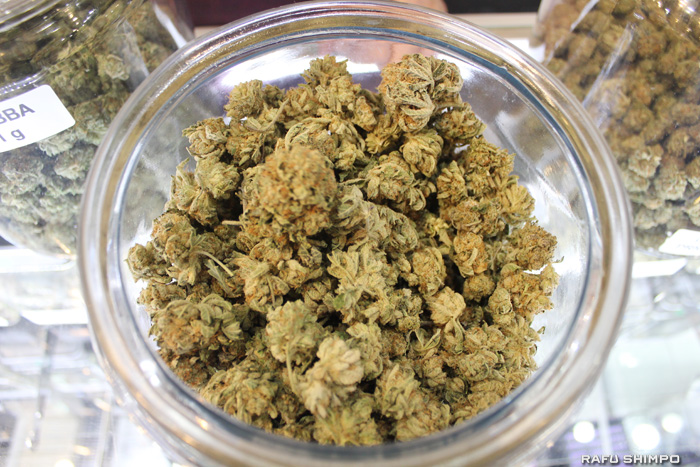 加州、大麻解禁から3カ月：税収6090万ドル - Rafu Shimpo