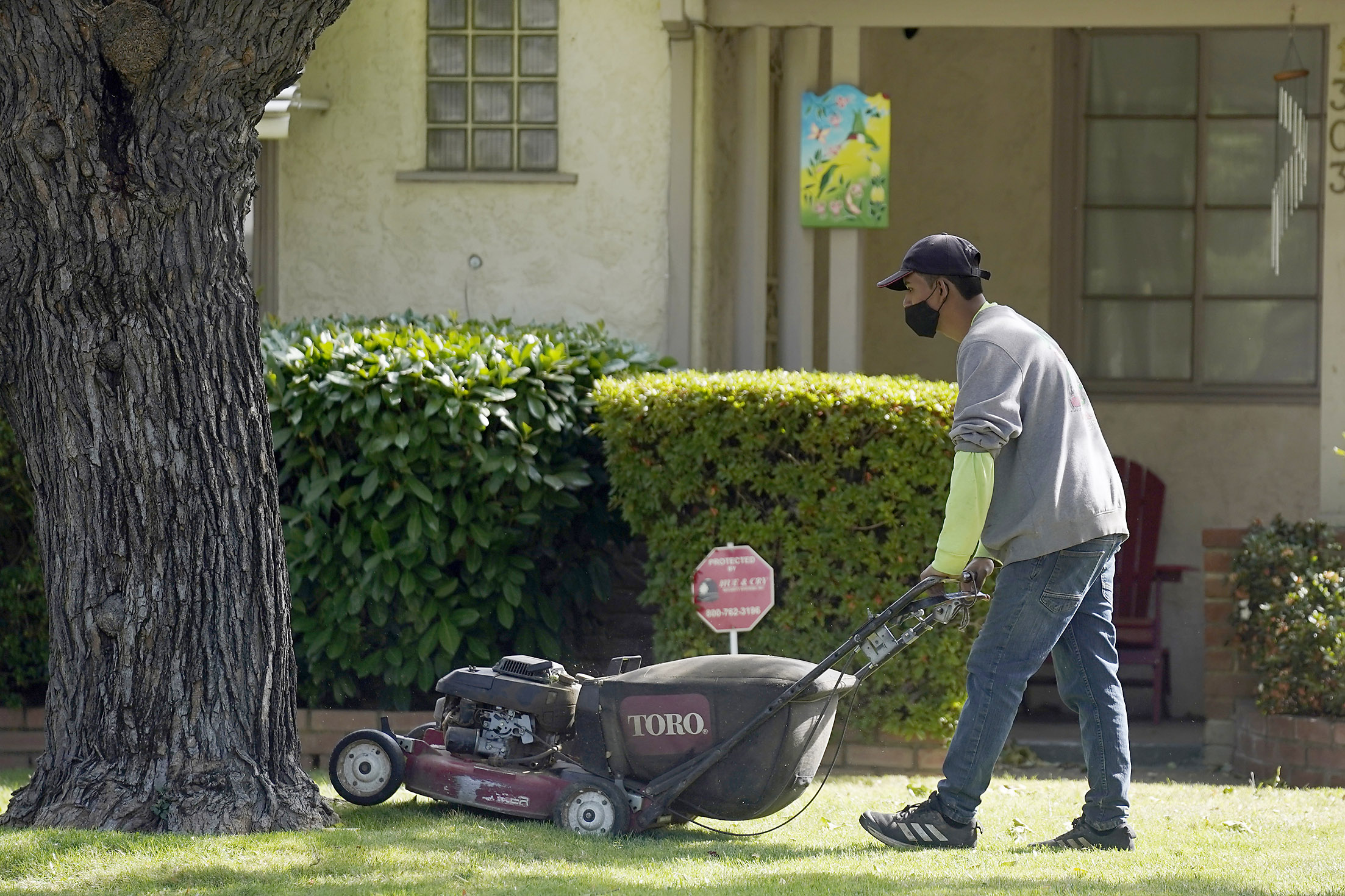 現行型芝刈り機の販売禁止へ：ガソリン式、ブロワーも - Rafu Shimpo