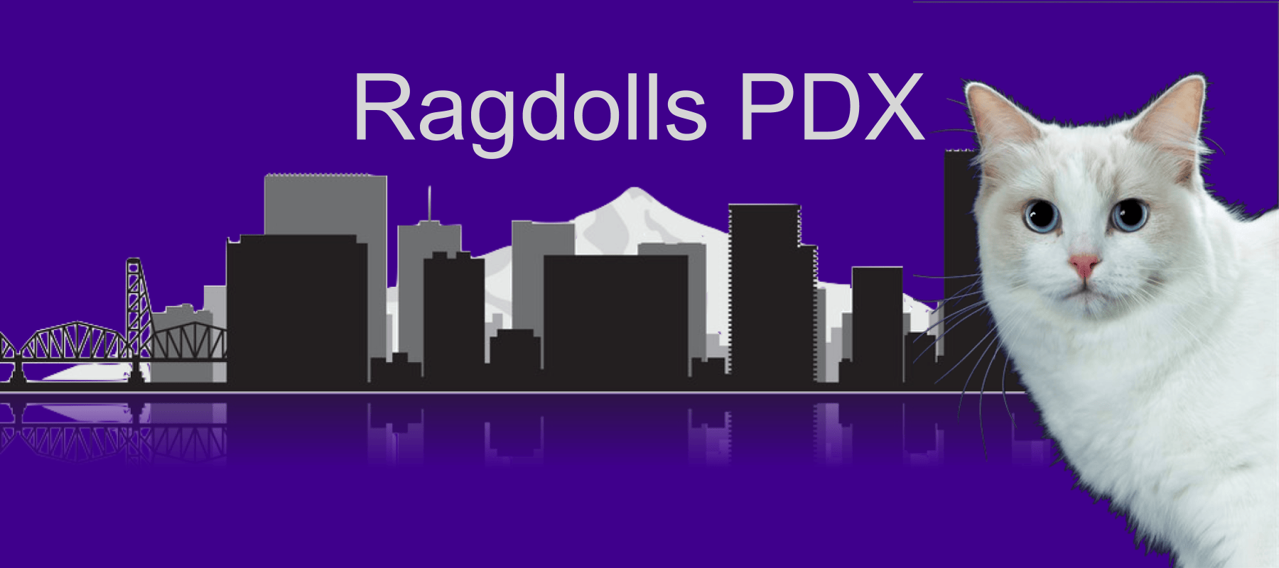 Ragdolls PDX- Adorable Ragdoll Kittens For Sale In Oregon